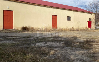 For Sale Building Commercial In Kumisi, Gardabani