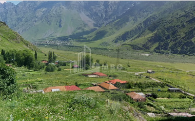 Продается Дачные Земля В Фаншете, Казбеги