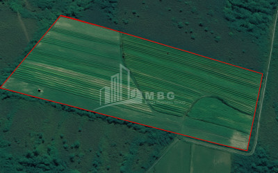 For Sale Orchards Land In Kvemo Shukhuti, Lanchkhuti