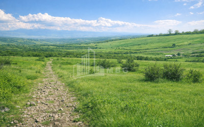 Продается Пахотные Земля В Самтацкаро, Дедоплисцкаро