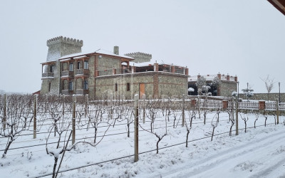 Продается Замок / Винный завод Коммерческий В Город Кварели, Кварели