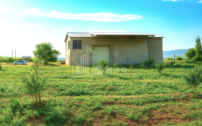 For Sale Chateau / Wine factory Commercial In Does, Kaspi