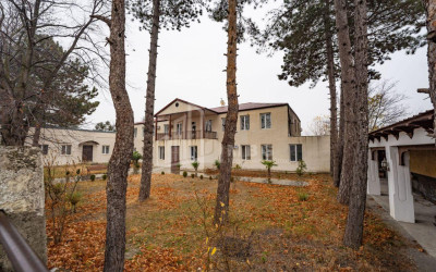 For Sale Chateau / Wine factory Commercial In Akhmeta