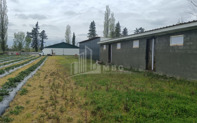 Продается Ферма теплицы Земля В Носири, Сенакски