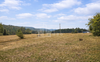 For Sale Old building House - Villa In Shalauri, Telavi