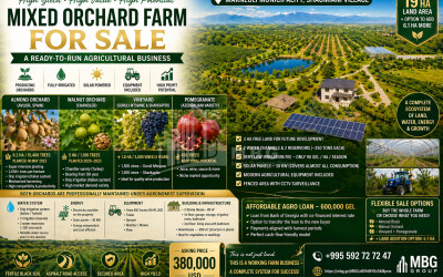 For Sale Orchards Land In the Village Shaumiani, Marneuli