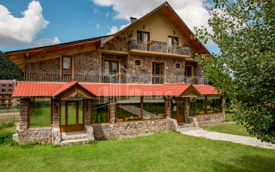 Продается Школа - Лагерь - Отель Коммерческий В Бакуриани, Боржоми