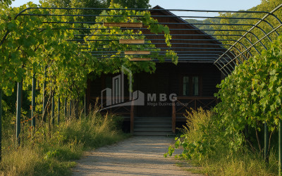 Продается Старое здание Дом - Вилла В Село Чопорте, Душети
