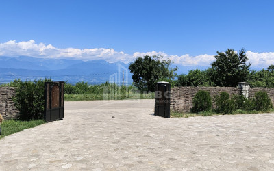For Sale Chateau / Wine factory Commercial In Kakheti