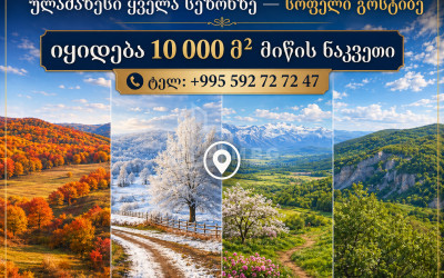 Продается Дачные Земля В Земо Гостибе, Каспси