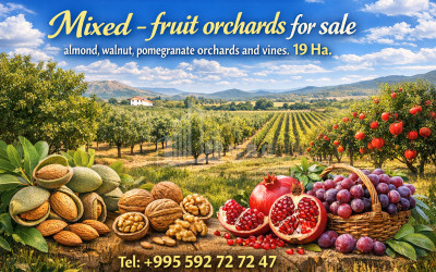 For Sale Orchards Land In the Village Shaumiani, Marneuli