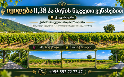 Продается Виноградник - Замковые Земля В Кварели