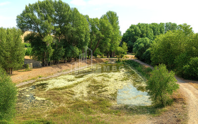 For Sale Country Land In Kekhijvari, Kareli