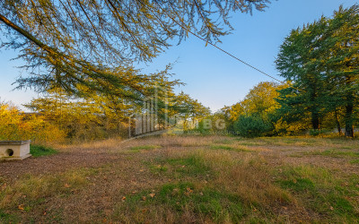For Sale Chateau / Wine factory Commercial In Akhmeta