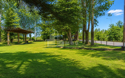 For Sale Commercial - universal Land In Abasha