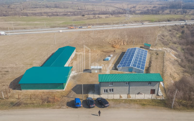 For Sale Current farm Commercial In Aghaiani, Kaspi