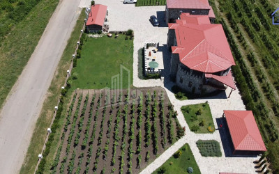 For Sale Chateau / Wine factory Commercial In Kakheti