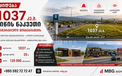 Продается Коммерческий - универсальный Земля В Телави