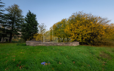 For Sale Chateau / Wine factory Commercial In Akhmeta