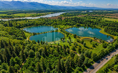 For Sale Commercial - universal Land In Kakheti