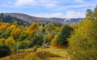 For Sale Country Land In Zemo Gostibe, Kaspi