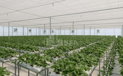 Продается Ферма теплицы Земля В Марнеули