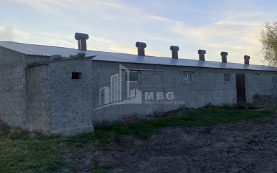 Продается Операционная ферма Коммерческий В Мухрани, Мцхета