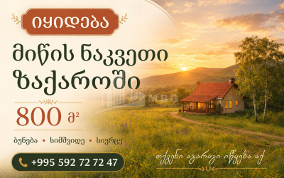 Продается Дачные Земля В Закаро, Мцхета
