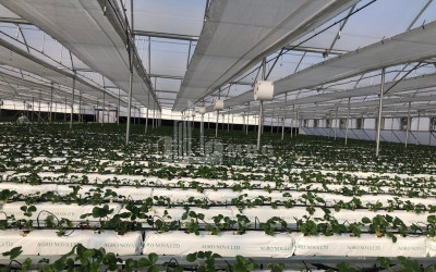 Продается Ферма теплицы Земля В Марнеули