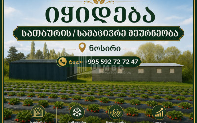 Продается Ферма теплицы Земля В Носири, Сенакски