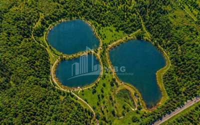 For Sale Commercial - universal Land In Kakheti