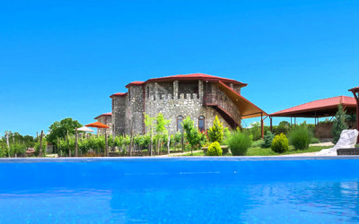 For Sale Chateau / Wine factory Commercial In Kakheti