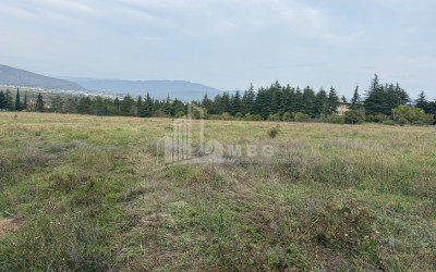 For Rent Warehousing - entrepreneurial Land In Tserovani, Mtskheta