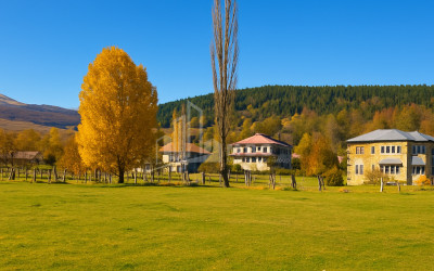 For Sale Country Land In Tsikhisjvari, Borjomi