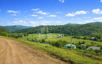 For Sale Country Land In Zemo Gostibe, Kaspi