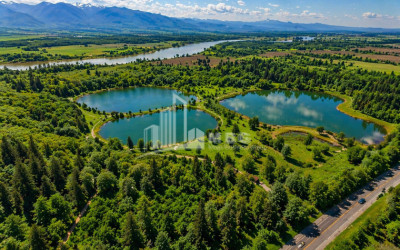 For Sale Commercial - universal Land In Kakheti