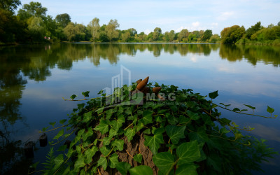 For Sale Vineyard - Chateau Land In Kvareli