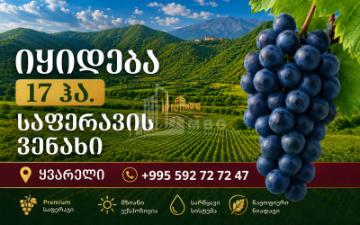Продается Виноградник - Замковые Земля В Кварели