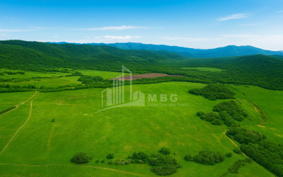 Продается Пахотные Земля В Гомбори, Сагареджо