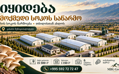 Продается Грибная фабрика Коммерческий В Оками, Каспси
