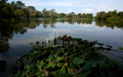 For Sale Vineyard - Chateau Land In Kvareli