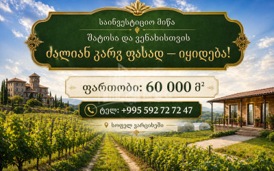 Продается Фруктовые сад Земля В Имерети