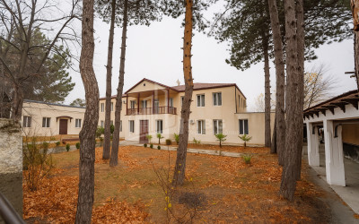 For Sale Chateau / Wine factory Commercial In Akhmeta