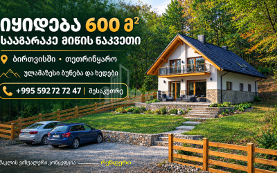 Продается Дачные Земля В Ущелье Биртвиси, Тетрицкаро