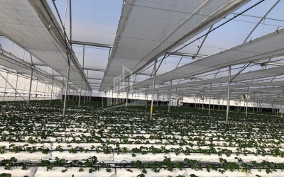 Продается Ферма теплицы Земля В Марнеули