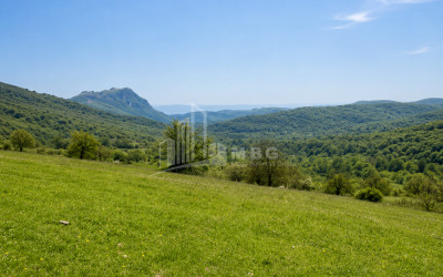 Продается Дачные Земля В Орбети, Тетрицкаро