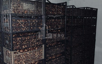 Продается Ферма теплицы Земля В Носири, Сенакски
