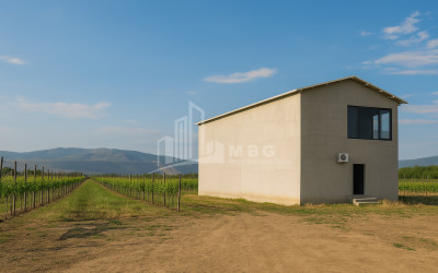 For Sale Chateau / Wine factory Commercial In Does, Kaspi