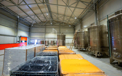 Продается Виноградник - Замковые Земля В Напареули, Телави