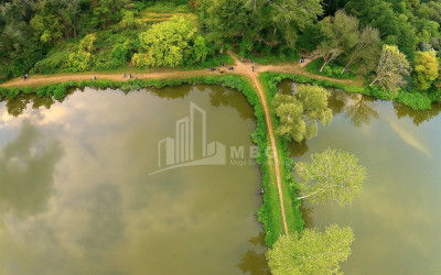 For Sale Vineyard - Chateau Land In Kvareli
